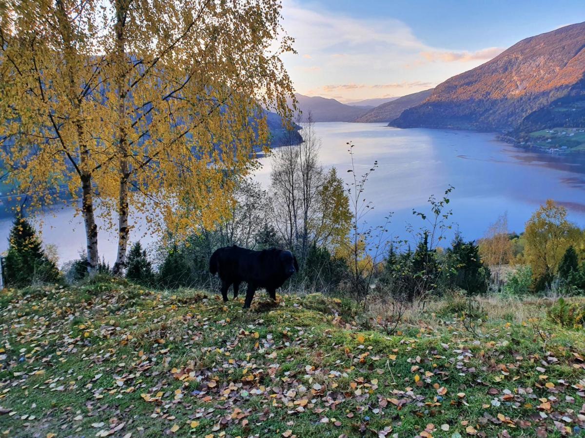 Panorama leiligheter i Olden med fjordutsikt - Høy standard! Eksteriør bilde