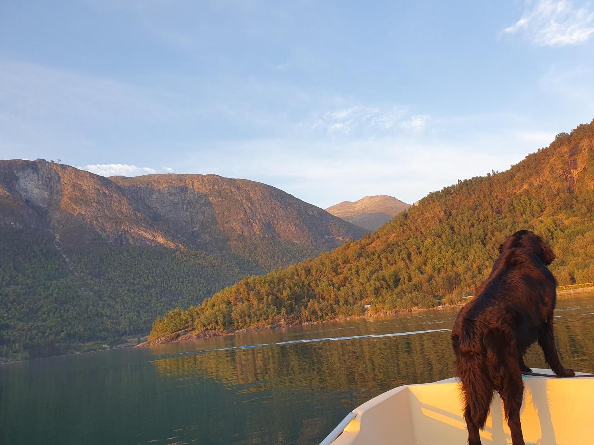 Panorama leiligheter i Olden med fjordutsikt - Høy standard! Eksteriør bilde